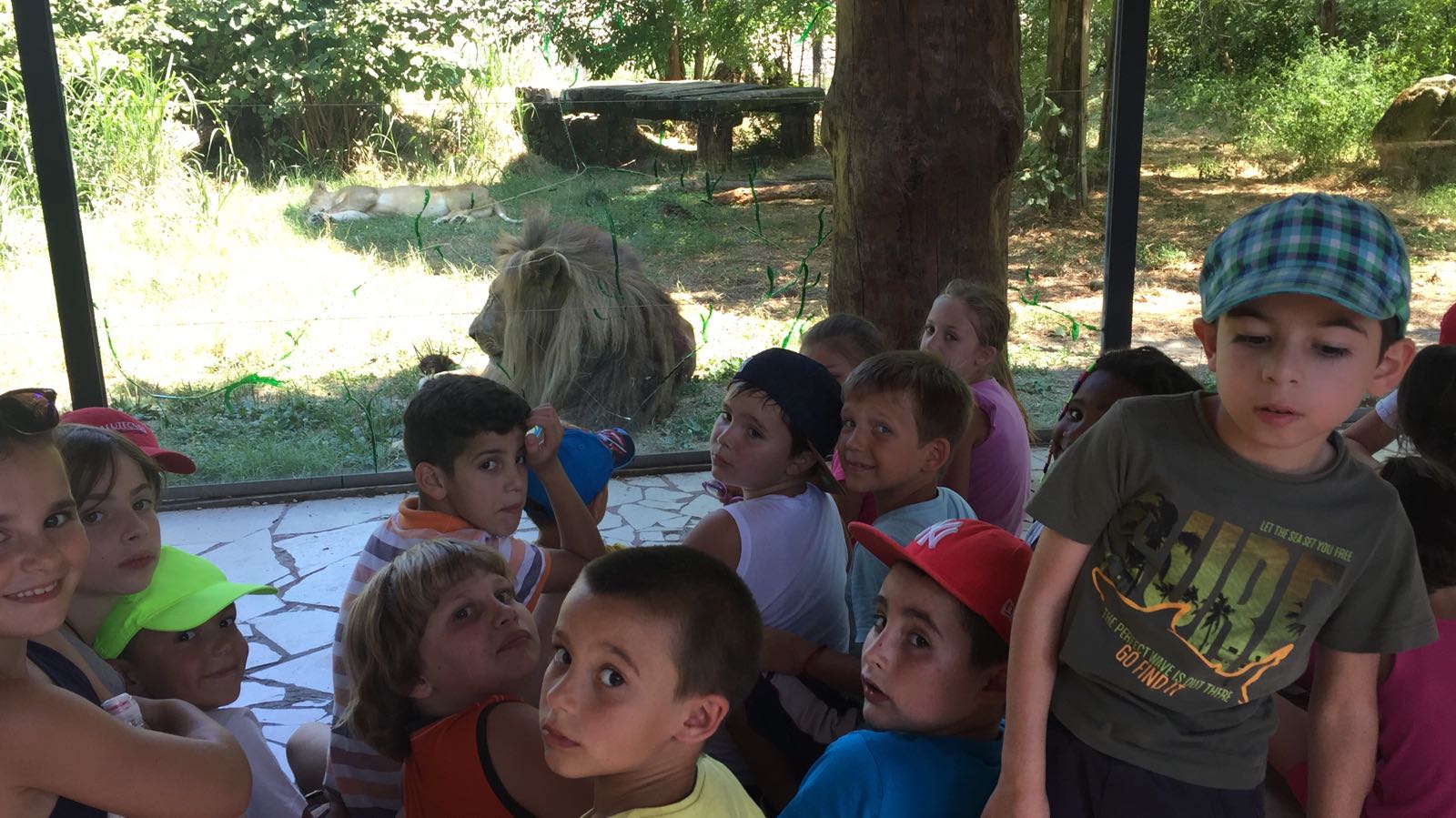 CRE Pernumia 2017 - Gita al parco faunistico Valcorba