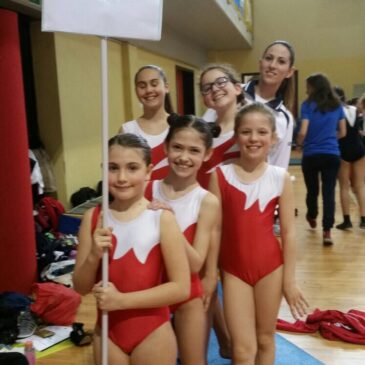 FASE PROVINCIALE ACLI – 2017